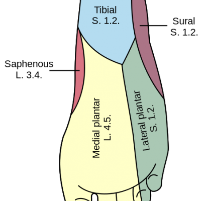 Jalatalt